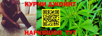 сатива Коммунар