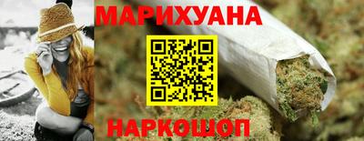 сатива Коммунар