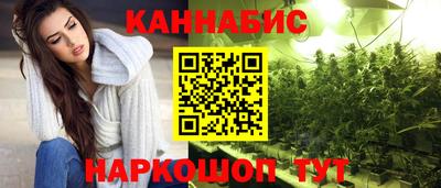 сатива Коммунар