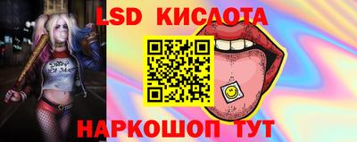 прущие грибы Комсомольск-на-Амуре