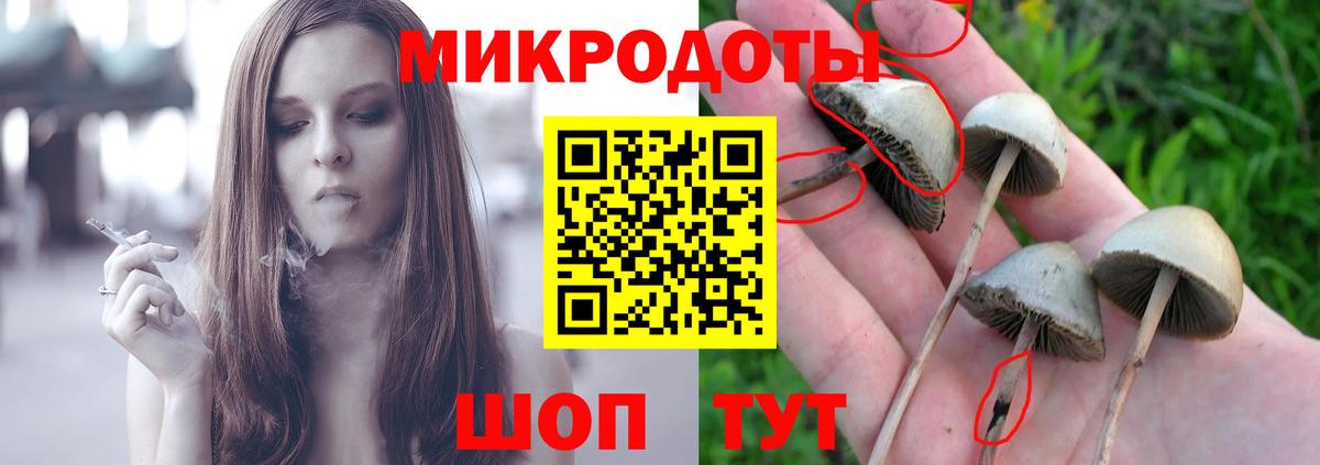 Кропоткин  Псилоцибиновые грибы мухоморы  Вход с VPN 