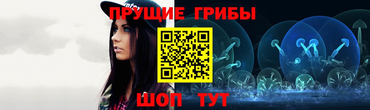 Галлюциногенные грибы Psilocybe Кропоткин